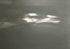 Fluorescence, 2009