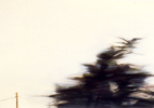 Larger Wind