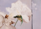 Peonies copy
