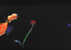 Still-Life-2-copy-copy