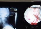 Docile Bodies 2