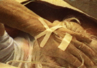 Docile Bodies 4_2