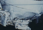 Docile Bodies 7_1