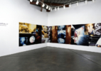 baltz_docilebodies1