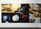 baltz_docilebodies3