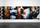 baltz_docilebodies4