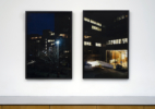 baltz_docilebodies5