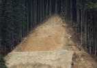Toshio Shibata, Japanscapes