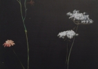 Queen Anne’s Lace Bouquet_2014_12x16in