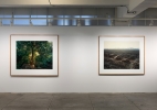 HOMELAND_INSTALL_03_NIeweg B